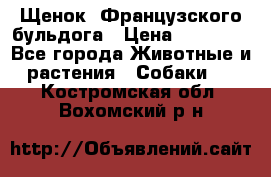 Щенок  Французского бульдога › Цена ­ 35 000 - Все города Животные и растения » Собаки   . Костромская обл.,Вохомский р-н